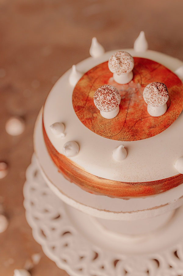cakes entremet si mini cakes