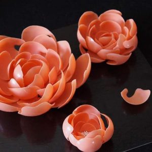 91319021_505185836819341_3771950466733178880_n